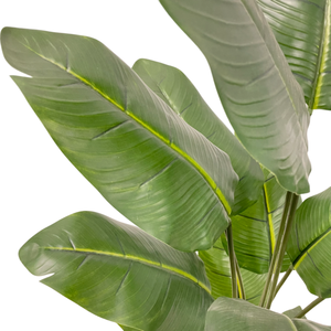 <span class=keywords><strong>Prix</strong></span> de gros usine, arbres artificiels bananiers sans entretien, <span class=keywords><strong>en</strong></span> <span class=keywords><strong>pot</strong></span> <span class=keywords><strong>d</strong></span>écoratif, aspect naturel, verdure réaliste et moderne - Product Image 5