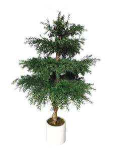 Nuevo árbol <span class=keywords><strong>de</strong></span> pino árbol artificial bonsái <span class=keywords><strong>de</strong></span> <span class=keywords><strong>cedro</strong></span> australiano para decoración <span class=keywords><strong>de</strong></span> Bodas <span class=keywords><strong>de</strong></span> jardín - Product Image 5