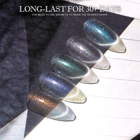 Vente en gros de vernis à ongles Fournitures Brocart Cat Eye Gel Diamond Reflective Gel Polish 1kg Kilogrammes