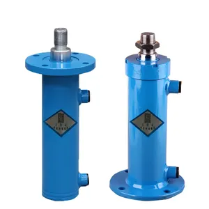 30t Hydraulic Cylinder 3T 5T 8T 10T 15T 20T 25T 30T 35T 40T 50T 60T 70T 80T 90T 100T Flange Two-way Hydraulic Cylinder Double Acting Hydraulic Cylinder