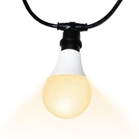 Ampoule LED E27 étanche, dimmable, 6 watts, 9W, 2700K, pour l'éclairage des poulaillers