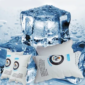 Pacote de gelo seco reutilizável, refrigerador líquido portátil, absorção de água, gelo, folha, pacotes de gelo para entrega de alimentos