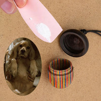Pet Memorial Tag Porte-clés Souvenir Bois Chien Urnes Collier et Pendentif Pet Cercueils Urnes pour Chiens Chats Cendres