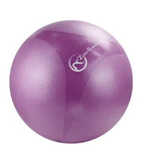 Gym Ball Zhensheng 2024 New Design Brand Promotion Home Gym Fitness Yoga Ball Exrecise Ball Swiss Ball With 9" Pump