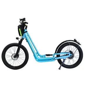 Lohas Vehicle 24*3.0 Inch Fat Tire 750W Big Motor 48v/ 21Ah Backpack Battery E Scooter