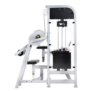Strength Training Hip Extension Workout Plate Loaded Legs and Glute Machines Full Set Fitness Equipment WD-HX629 OEM/ODM Customi - Product Image 3