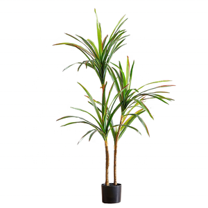 Verde artificiale Dracaena Marginata albero <span class=keywords><strong>in</strong></span> <span class=keywords><strong>vaso</strong></span> di plastica di Design pianta d'<span class=keywords><strong>appartamento</strong></span> - Product Image 1