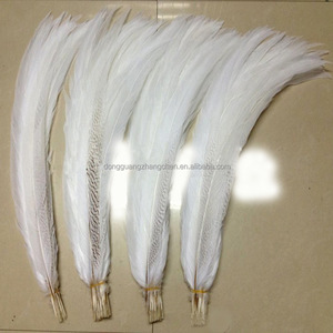Chất Lượng Cao 15-80 Cm Nhuộm Bạc Gà lôi Đuôi Lông Cho Đám Cưới Bên DIY Thủ Công Mỹ Nghệ Carnivals - Product Image 1