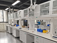 Plan de travail central en acier et résine phénolique sur mesure pour laboratoire hospitalier, pharmacie, microbiologie, école, laboratoire