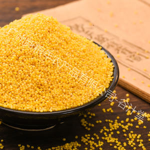 Miglio bianco e giallo biologico originale con guscio, miglio di alta qualità di esportazione, utilizzato per ingredienti gourmet e mangimi per animali - Product Image 6