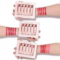 Ensemble de rouge à lèvres semi-mat Cmaadu-Brillant à lèvres mat hydratant longue durée, certifié MSDS pour le commerce transfrontalier