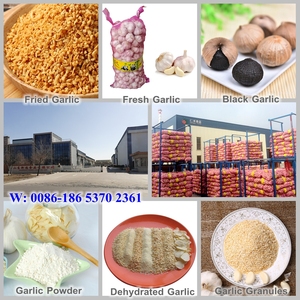 Natural Spice ALHO GRANULADO <strong>FRITO</strong> Chinese Fried Garlic <strong>Chips</strong> for EU Market - Product Image 2