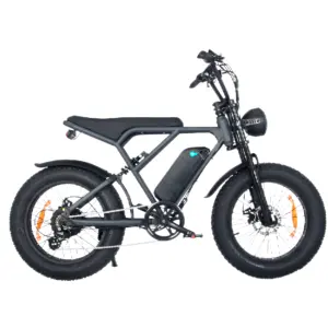 2024 New Trend 20 Inch Long Range Aluminum Alloy Frame 500W 15Ah Electric Fatbike for Sales