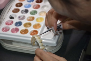 Gusrom CORAL: Polvere Colorante Ceramica da Laboratorio Odontotecnico, Smalto per Tecnici, Accessori per Apparecchiature di Terapia Orale, Blocco di Zirconia - Product Image 2