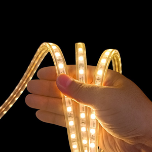 Vente en gros de bande LED souple étanche 220 V haute tension 5050 2835 avec lumière linéaire extérieure RVB monochrome colorée pour l'ingénierie - Product Image 2
