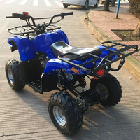 Quad mini tout-terrain 150CC/200CC/250CC pour enfants, en acier inoxydable, transmission par chaîne ABS