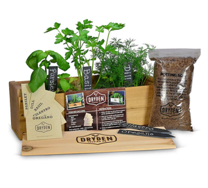 Regalo de Navidad producto de jardinería plantación de vegetales orgánicos <span class=keywords><strong>caja</strong></span> de madera <span class=keywords><strong>caja</strong></span> de cedro Kit de jardín de hierbas - Product Image 1