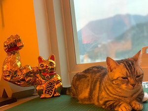 現代美術のおもちゃの家の装飾強い腕の筋肉が付いている幸運なプルタス猫クロームミラー面白い収納置物 - Product Image 4