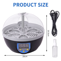 Mini Incubateur d'Œufs Entièrement Automatique pour Volaille 220V 12V, Couveuse à Œufs pour Poulets, Canards, Oies et Oiseaux