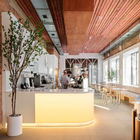 Comptoir de bar personnalisé pour café, vitrine de présentation avec éclairage LED pour café, pâtisserie, magasin de gâteaux, design d'intérieur durable et imperméable