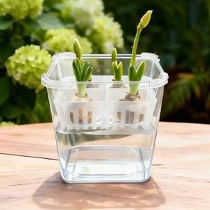 Pots <span class=keywords><strong>de</strong></span> culture hydroponique à 4 trous avec design en forme <span class=keywords><strong>de</strong></span> <span class=keywords><strong>bulbe</strong></span> pour plantes succulentes d'intérieur, orchidées, contenants décoratifs pour la culture aquatique - Product Image 2
