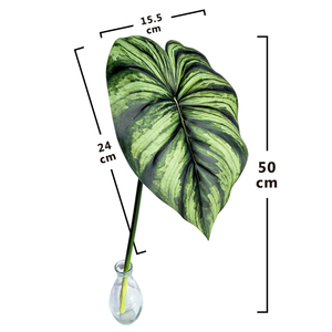 Foglia Artificiale Singola Meili in Plastica Verde per Decorazioni Floreali - Offerta Speciale - Product Image 6
