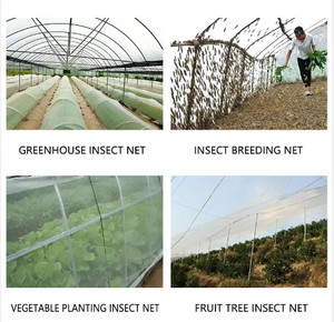 HDPE Cộng Với Ngọn Lửa Chống Cháy Chăn Nuôi <span class=keywords><strong>Net</strong></span> Côn Trùng Hàng Rào Rau <span class=keywords><strong>Net</strong></span> - Product Image 6