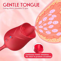 Vibrador Clitoral en Forma de Rosa con Dildo Realista, Juguetes Sexuales, Vibrador de Succión para Mujeres, Precio Económico, Dropshipping, Envío Económico