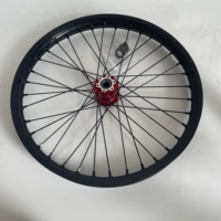 Ensemble de jantes à rayons courbés noirs pour moto tout-terrain Surron Light Bee, avant 19 1.4, arrière 16 2.15, moyeu rouge, sans pneu