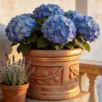 Pot de fleurs en terre cuite fait main pour l'extérieur, patio, cour, décoration pour citronnier ou plantes à fleurs
