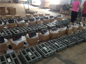 इलेक्ट्रिक बेंच वजन पैमाने 300kg टीएससी मंच पैमाने - Product Image 6