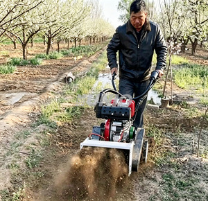 Micro-cultivateur diesel UNIO à démarrage électrique 10HP avec lame rotative haute productivité et <span class=keywords><strong>roue</strong></span> de désherbage pour usage agricole - Product Image 2