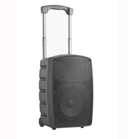 15 İnç Taşınabilir PA Ses Sistemi Hoparlör Kutusu DJ Hoparlörü 100W RMS 98dB Hassasiyet Açık Hava Eğlence Etkinlikleri için