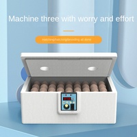 Incubateur à œufs automatique Tongda New Bionic Water Bed Home, facile à utiliser, garantie 1 an