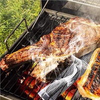 Boîte à fumée froide en acier inoxydable pour barbecue, tube à fumée extérieur, outil de barbecue