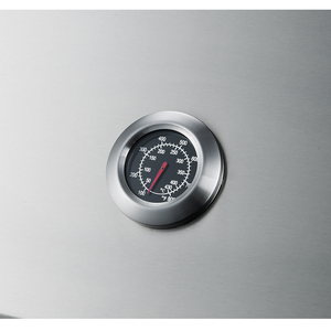 Barbacoa de gas y carbón de acero inoxidable negro 304 de 66000 BTU, empotrable, para uso doméstico, de sobremesa, para exteriores, RAYLIN-B4 Luxury 30 - Product Image 2