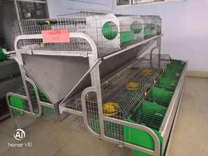 Jaula de animales pequeños galvanizada en caliente, casa de conejo de cría con caja nido adjunta, jaulas de conejo de nueva condición en venta - Product Image 5