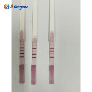 Kit de prueba de antibióticos LSY-20101 para beta lactámicos/tetraciclinas/estreptomicina/cloramfenicol - Product Image 5