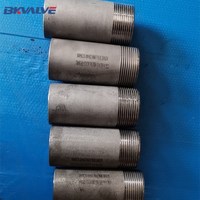 Mamelon fileté SS316 NPT par exemple 1/2 "de diamètre par 2" de long