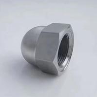 Écrou dôme hexagonal en acier inoxydable Q 395, écrou hexagonal à pas fin