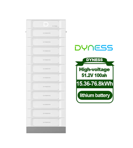 Dyness STACK100 51.2V 100Ah 200Ah 30kWh 50kWh 60kWh Batterij Deye Huishoudelijk Gebruik 5kW 10kW Zonne Lithium Batterijen - Product Image 1