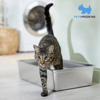 Bac à litière pour chats en acier inoxydable multifonction extra large et robuste réutilisable OEM 20L espace intérieur facile à nettoyer Plateaux pour fournitures pour animaux de compagnie