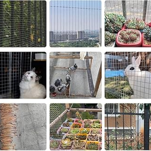 Kanatlı çiftlikleri için sıcak satış korozyona dayanıklı galvanizli kaynaklı tel örgü panelleri kare delik (1-10cm) bükme kesme - Product Image 5