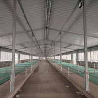 Structure en acier pour ferme caprine avec plancher à lattes surélevé et système de ramassage automatique du fumier pour moutons de chair, chèvres laitières