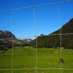 heavy duty fixed knot woven wire field game fence/ Galvanized Sheep Farm Fence Factory Price/ 2.2mm 2.5mm 2.7mm wire farm fence