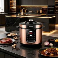 Cuisinière à pression électrique intelligente avec écran LED, plusieurs modes, cuve antiadhésive, pour la maison