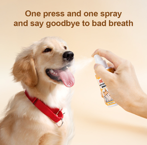 Evcil hayvanlar için PetFit OEM ODM diş spreyi ev evcil hayvan diş bakımı sağlık evcil hayvan diş bakımı ürün kediler ve köpekler için - Product Image 2