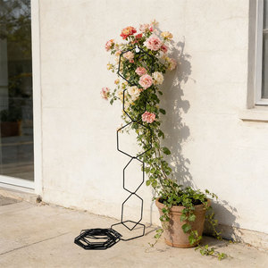 Wrought Iron Plant <b>Trellis</b> XH26-027 Rustproof Hexagonal Garden Support For Climbing <b>Flowers</b> Outdoor Use - Product Image 1