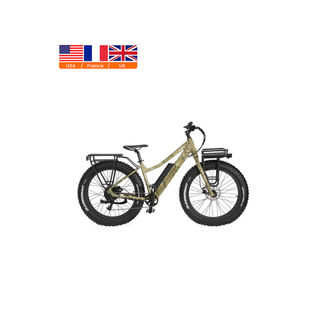 48V 500W High Torque Aluminum Frame Adult Electric Cargo Bike with Fat Tire for Sand/Snow Delivery