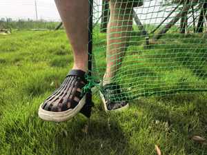 PE Poultry <strong>Net</strong>. Chicken <strong>Net</strong>. <strong>Fence</strong> Chicken <strong>Fence</strong> Poultry <strong>Fence</strong> - Product Image 4